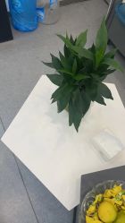 -苗医生0感科技祛痘