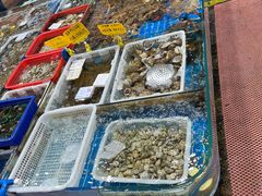 -船奇蒸汽海鲜·闽菜(八市海鲜总店)