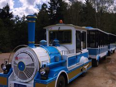 -五营红松林海景区