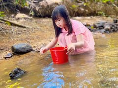 -田心森林公园