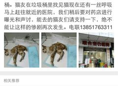 盛京一禾-盛京一禾