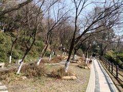-府山公园
