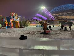 -沈阳奥体冰雪嘉年华