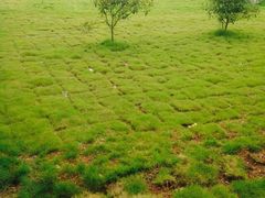 -万达影城(长沙婚庆公园中国巨幕店)