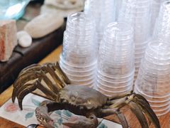 -巴浪鱼咖啡馆 Local Fish