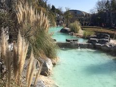 -吴淞炮台湾湿地森林公园烧烤区