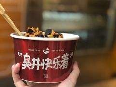 -黑色经典臭豆腐·湖南特产(坡子街特产局店)