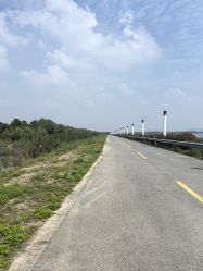 -水八仙生态园