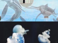 -宁波儿童公园(鄞州区)