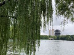 -济南大明湖景区