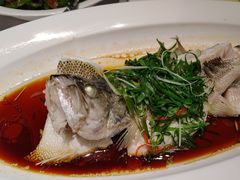-院里寻菜·祖庵菜宴请(观沙岭店)