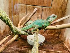 -上海大自然野生昆虫馆