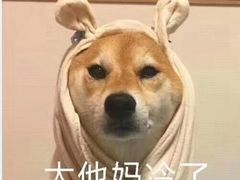 -石老头关东饺子王·东北菜(嘉华鑫城店)
