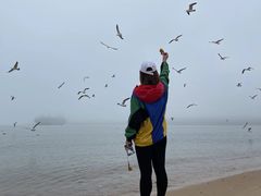 -海驴岛(荣成市)