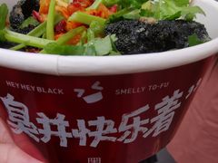 -黑色经典臭豆腐·湖南特产(坡子街店)