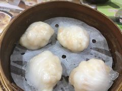 晶莹鲜虾饺-添好运点心专门店(北角店)
