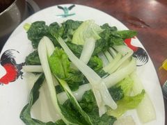 -华仔土鸡店(南洲分店)