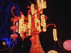 -武汉园博园(武汉自然博物馆)