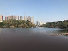 -重庆彩云湖湿地公园