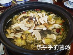-蘑统田下·野生菌火锅