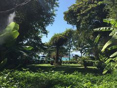 -卷心菜和避孕套餐厅(Pattaya)