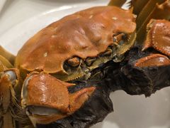 -新光酒家方亮蟹宴(黄浦店)