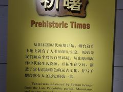 -烟台市博物馆