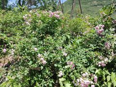 -潭柘厚院(桑峪村店)