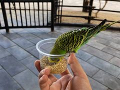 -哈尔滨波塞冬海底世界