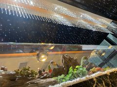 -红辣椒·川菜·火锅(大洋中心店)