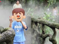 -呀诺达热带雨林