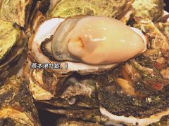 -草鱼先生潮州鱼生·虾生(新厦花园店)