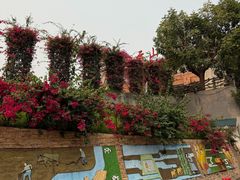 -白云山风景名胜区