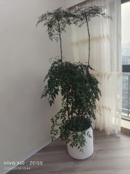 -HEYAN荷妍专业脱毛连锁机构