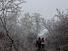 -东白山