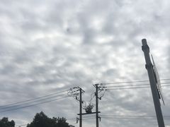 -老徽州(老街店)