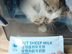 -半岛宠物医院24小时(科华中路店)