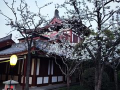 -华清宫景区