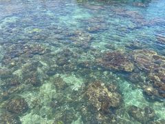 -三亚西岛海洋文化旅游区
