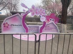 -桃花堤公园