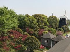 -上海鲜花港