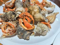 -红高粱海鲜大排档(福成路店)