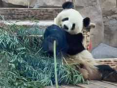-无锡动物园·太湖欢乐园