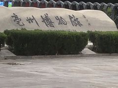 -亳州博物馆