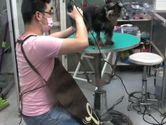 -达爱动物医院·犬猫分区·CT·复杂眼科(远洋山水分院)