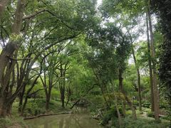 -汇龙潭