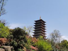 -牛首山文化旅游区