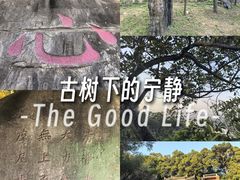 -草庵摩尼教遗址公园