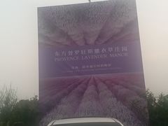 门面-北京东方普罗旺斯薰衣草庄园