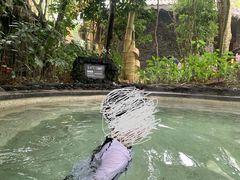 -海口观澜湖火山温泉谷